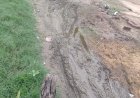 लखीमपुर खीरी: 65 मीटर सड़क के लिए वर्षों से संघर्ष, ग्राम हरैया के ग्रामीणों में आक्रोश