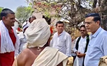 मथुरा : कान्हा गौशाला की जमीन से हटाया गया अवैध कब्जा