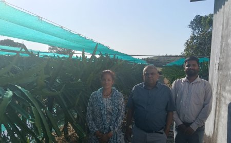 सीएम धामी की पहल से नैनीताल में ‘ड्रैगन फ्रूट क्रांति’, महिलाएं बनीं आत्मनिर्भर