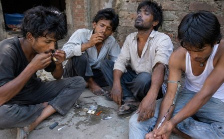 मथुरा : वृंदावन परिक्रमा मार्ग पर नशाखोरों का आतंक, श्रद्धालुओं में बढ़ी दहशत