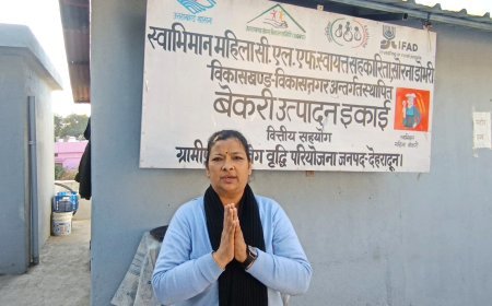 देहरादून : कल्पना बिष्ट की ‘स्वाभिमान महिला बेकरी यूनिट’ बनी महिला सशक्तिकरण की मिसाल