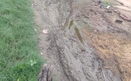 लखीमपुर खीरी: 65 मीटर सड़क के लिए वर्षों से संघर्ष, ग्राम हरैया के ग्रामीणों में आक्रोश