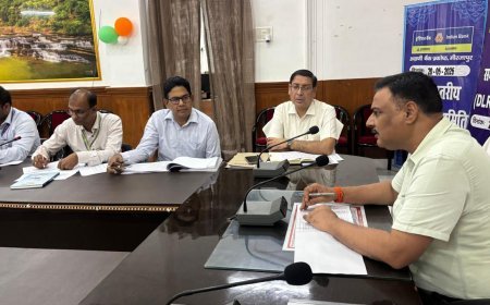 मिर्जापुर : जिलाधिकारी की अध्यक्षता में जिला स्तरीय सलाहकार एवं समीक्षा समिति की बैठक सम्पन्न