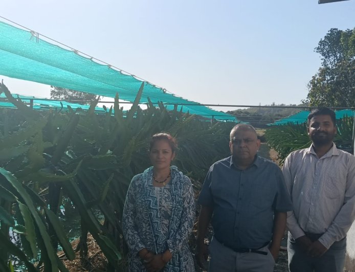 सीएम धामी की पहल से नैनीताल में ‘ड्रैगन फ्रूट क्रांति’, महिलाएं बनीं आत्मनिर्भर
