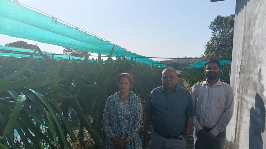 सीएम धामी की पहल से नैनीताल में ‘ड्रैगन फ्रूट क्रांति’, महिलाएं बनीं आत्मनिर्भर