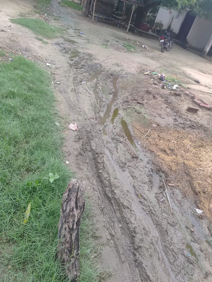 लखीमपुर खीरी: 65 मीटर सड़क के लिए वर्षों से संघर्ष, ग्राम हरैया के ग्रामीणों में आक्रोश