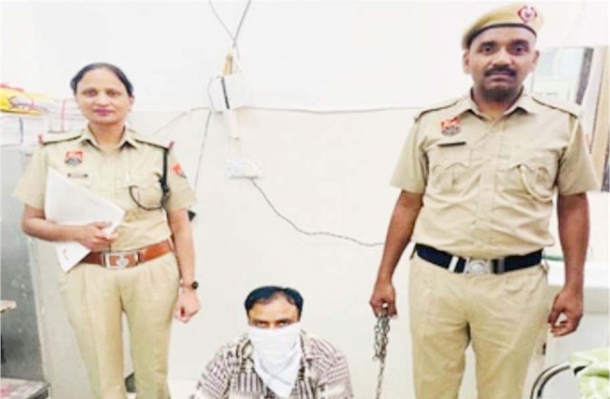 सिरसा : महिलाओं को बंधक बना करवाया देह व्यापार, सफाई का करती थी काम, होटल संचालक गिरफ्तार
