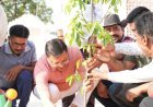 उधम सिंह नगर : सीएम धामी ने रोपा "एक पेड़ मां के नाम"