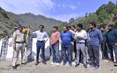 डीएम अंशुल सिंह ने क्वारब बाईपास और राष्ट्रीय राजमार्ग का किया निरीक्षण, कार्यों में तेजी लाने के दिए निर्देश