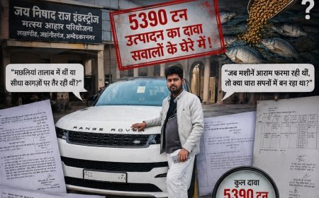 अम्बेडकर नगर:   5390 टन चारा मछलियों ने खाया या कागजों ने ?  जीएसटी विभाग भी पूछ रहा हिसाब !