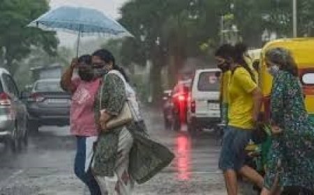 Uttarakhand Weather Update : प्रदेश के आठ ज़िलों में बारिश व तूफान का ऑरेंज अलर्ट