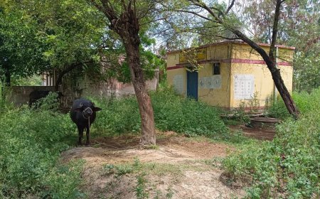 हरदोई : कछौना का आरोग्य मंदिर उपकेन्द्र पुरवा खुद 'कुपोषित', परिसर बना तबेला, जिम्मेदार मौन