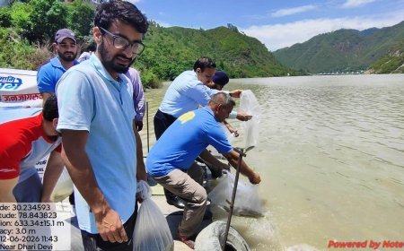 पौड़ी : अलकनंदा नदी में प्रवाहन किया महाशीर मछली की उंगलिकाओं को
