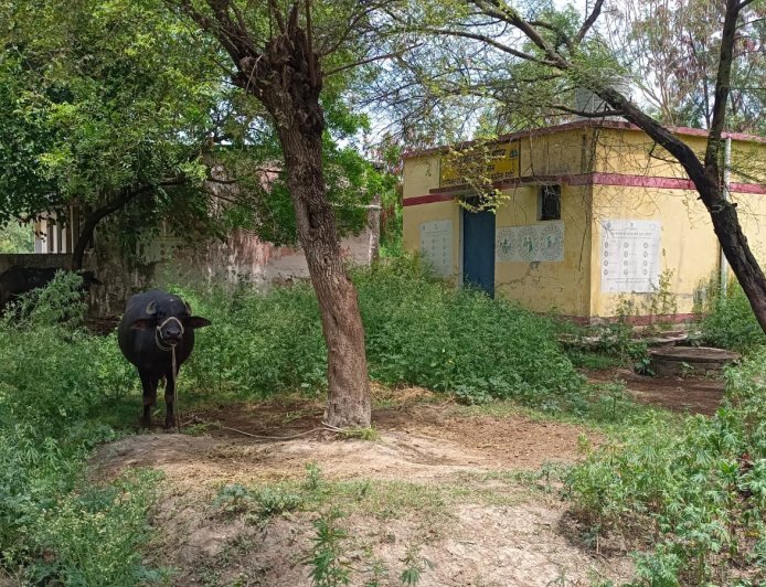 हरदोई : कछौना का आरोग्य मंदिर उपकेन्द्र पुरवा खुद 'कुपोषित', परिसर बना तबेला, जिम्मेदार मौन