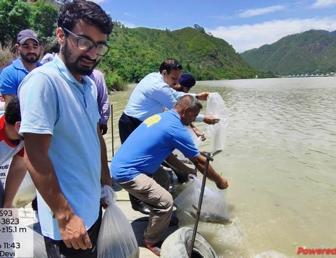 पौड़ी : अलकनंदा नदी में प्रवाहन किया महाशीर मछली की उंगलिकाओं को