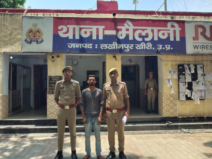 आपत्तिजनक सोशल मीडिया पोस्ट पर आरोपी गिरफ्तार