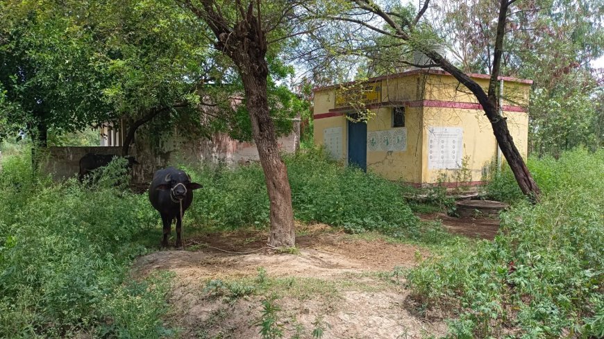 हरदोई : कछौना का आरोग्य मंदिर उपकेन्द्र पुरवा खुद 'कुपोषित', परिसर बना तबेला, जिम्मेदार मौन