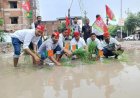 हरदोई : सड़क पर धान रोपकर सपा नेता का विरोध