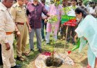 हरदोई :  'एक पेड़ माँ के नाम' अभियान को मिला जनसहयोग, डीएम-एसपी समेत पुलिस अधिकारियों ने किया वृक्षारोपण