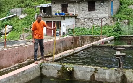 रुद्रप्रयाग : ट्राउट मत्स्य पालन से दिनेश सिंह चौधरी की सफलता, सालाना 5 लाख तक आय