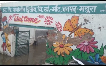 मथुरा : जलभराव से जूझ रहा पानीगांव का प्राथमिक विद्यालय
