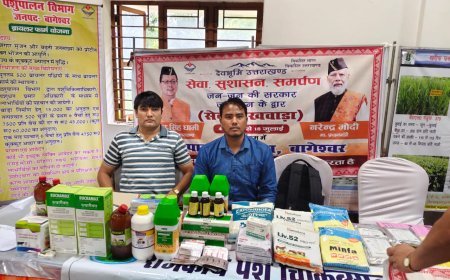 बागेश्वर : सेवा पखवाड़ा शिविर में 205 लोगों को मिला लाभ
