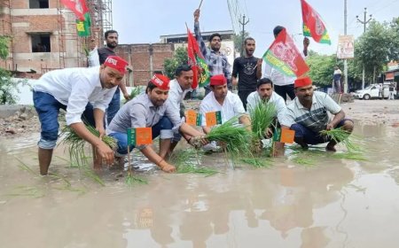हरदोई : सड़क पर धान रोपकर सपा नेता का विरोध
