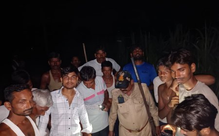 लखीमपुर खीरी : कैमासुर गांव में तेंदुए की दहशत, ग्रामीणों ने उठाई सुरक्षा की मांग ।