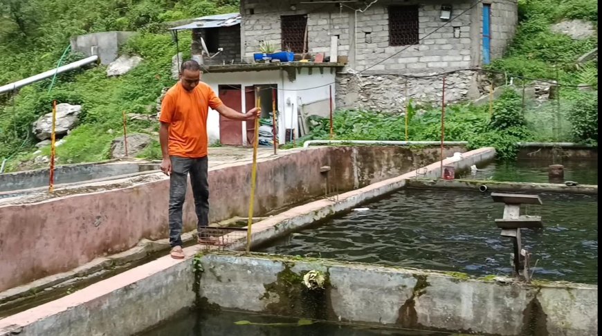 रुद्रप्रयाग : ट्राउट मत्स्य पालन से दिनेश सिंह चौधरी की सफलता, सालाना 5 लाख तक आय