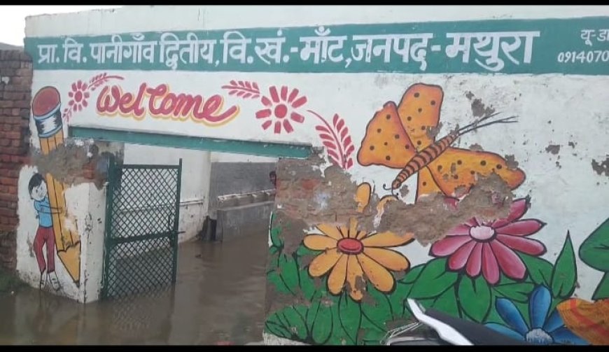 मथुरा : जलभराव से जूझ रहा पानीगांव का प्राथमिक विद्यालय