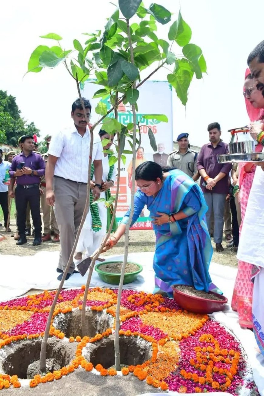 हरदोई : वृक्षारोपण महायज्ञ-2026, हरदोई ने लक्ष्य से अधिक 72.75 लाख पौधे रोपकर बनाया नया कीर्तिमान