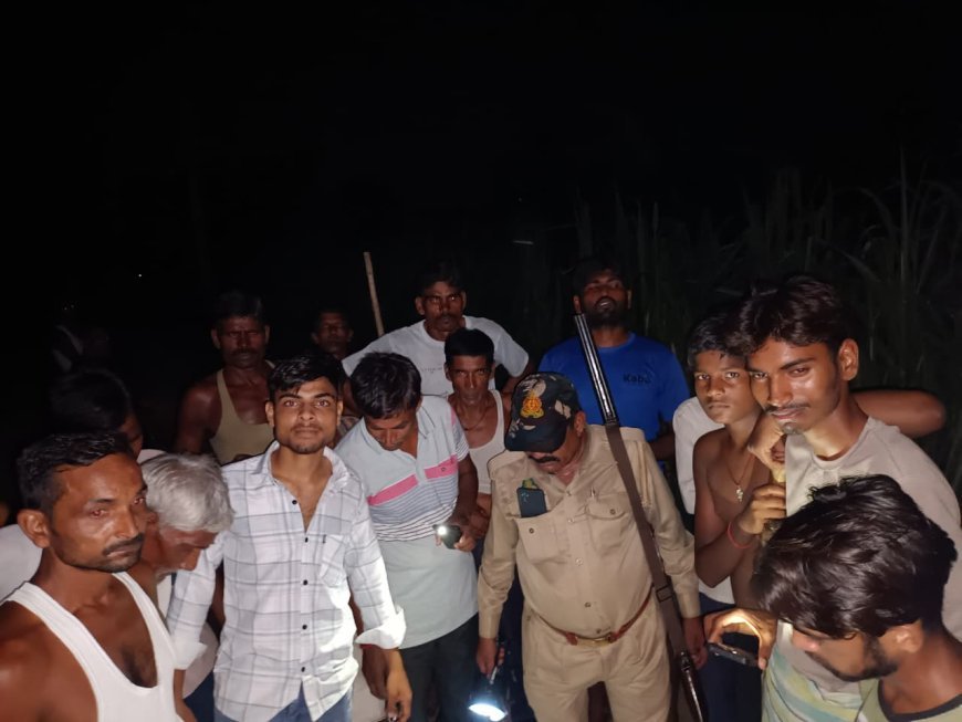 लखीमपुर खीरी : कैमासुर गांव में तेंदुए की दहशत, ग्रामीणों ने उठाई सुरक्षा की मांग ।