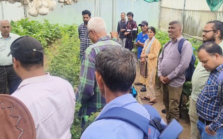 पौड़ी गढ़वाल : तीन दिवसीय पॉलीहाउस प्रशिक्षण का हुआ समापन