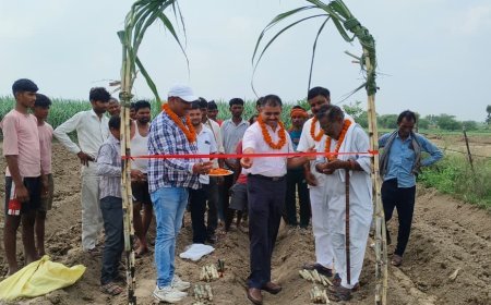 चार फीट दूरी पर गन्ना बुवाई का शुभारंभ, किसानों को बताए वैज्ञानिक खेती के लाभ