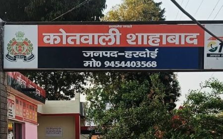 हरदोई : शाहाबाद के अल्लाहपुर में गाली-गलौज के बाद ईंट से हमला, एक आरोपी हिरासत में