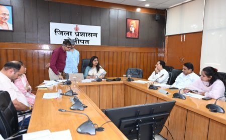 सीएम विंडो की पुरानी शिकायतों का प्राथमिकता से समाधान करें अधिकारी : उपायुक्त नेहा सिंह* 