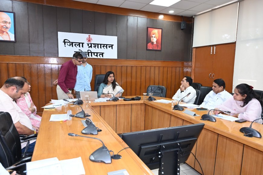 सीएम विंडो की पुरानी शिकायतों का प्राथमिकता से समाधान करें अधिकारी : उपायुक्त नेहा सिंह* 