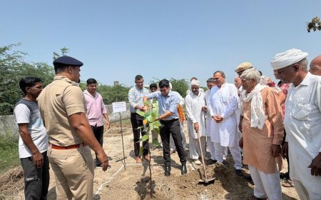 गांव मोई हुड्डा में ‘एक पेड़ मां के नाम’ अभियान के तहत एसडीएम अंकित कुमार ने किया पौधारोपण 