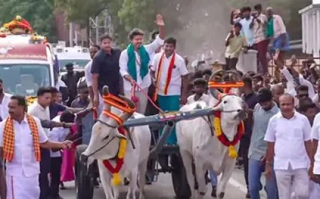 TVK पर ₹6 हजार, टिफिन और चांदी के सिक्के बांटने का आरोप