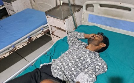 लखीमपुर खीरी  :  गोवध मामले में पुलिस का एक्शन, आरोपी गिरफ्तार