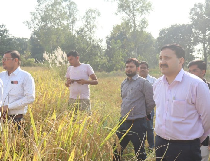 डीएम की मौजूदगी में धान की क्रॉप कटिंग,  हरदोई मे 60.51 कुंतल प्रति हेक्टेयर उपज दर्ज