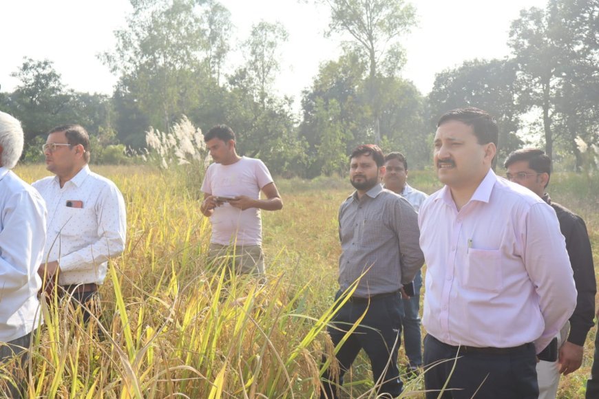 डीएम की मौजूदगी में धान की क्रॉप कटिंग,  हरदोई मे 60.51 कुंतल प्रति हेक्टेयर उपज दर्ज